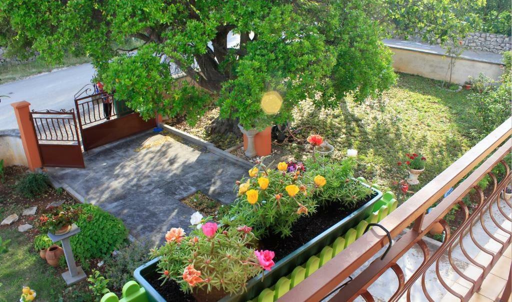 Apartmani Volga Petrcane Exterior foto